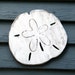 Wooden Sand Dollar Decor Beach House Decor Sea Shell Decor Wood Sand ...