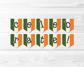 Irish Flag Celebrate Banner -- St Patrick's Day Banner, Ireland Flag Banner, Celebration Banner, Party Banner, Printable, Instant Download