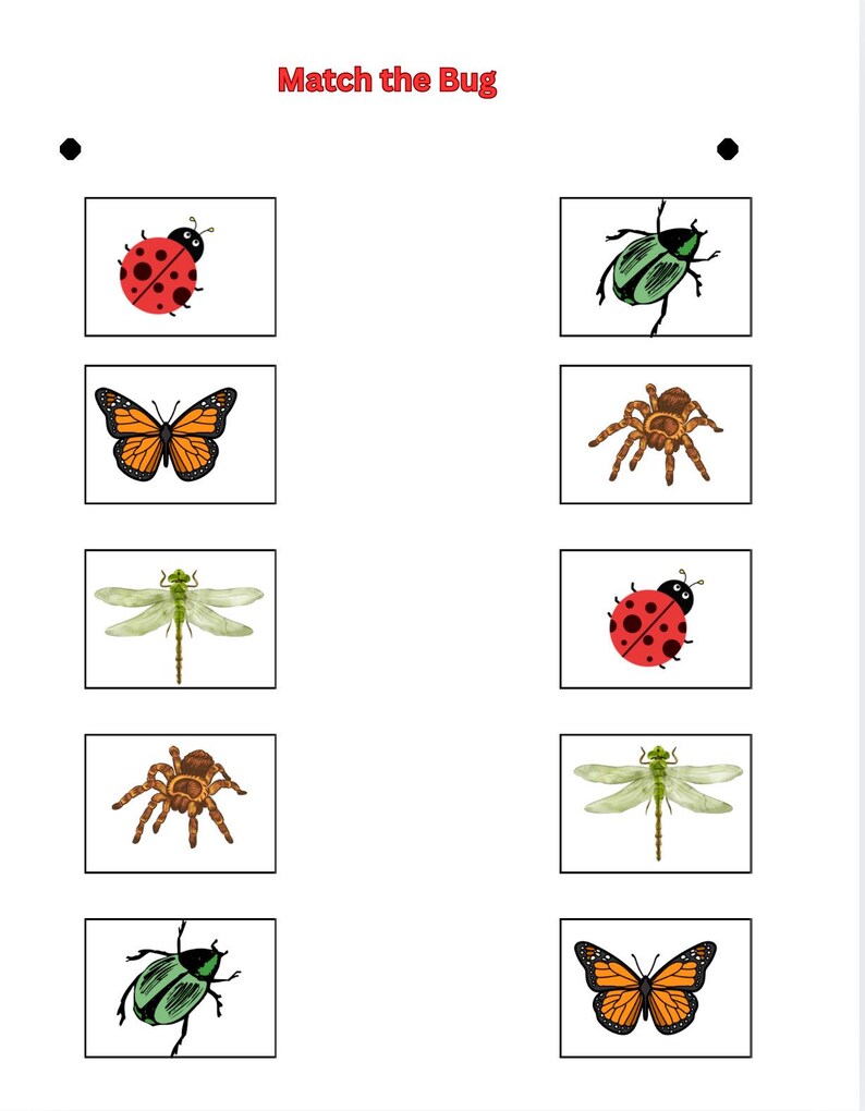 Preschool Matching Worksheets Bundle | Learn Counting, Colors & Animals ...