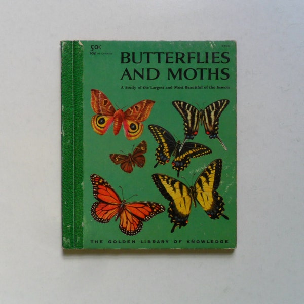 vintage butterfly illustrations . vintage children's books . vintage children's art . craft supplies . butterfly art . butterfly book
