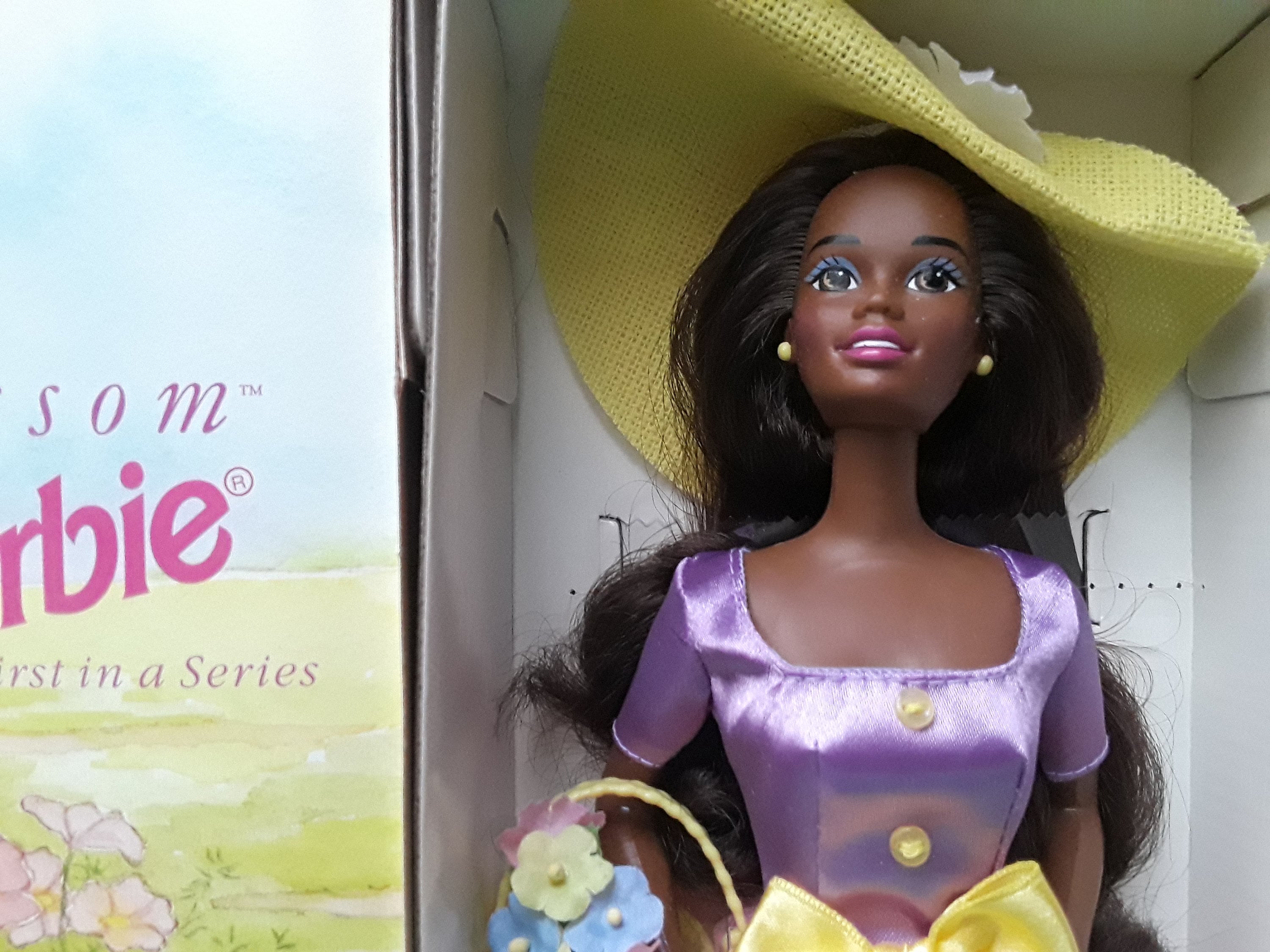 Afstoting Beleefd schuur Zwarte en bruine poppen Zwarte Barbie Lentebloesem Barbie - Etsy Nederland