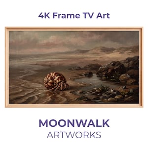 Costeiro Arte para Frame TV, Hermit Crab Spiral Shell, Decoração Náutica de Verão, Samsung Frame Download Digital 4K