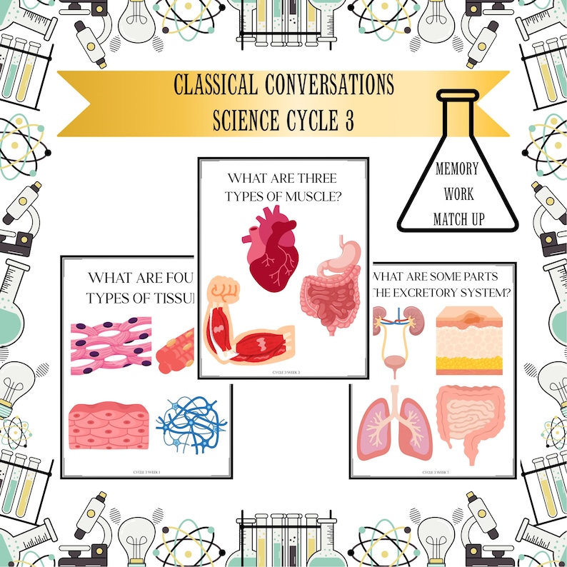 Classical Conversations Cycle 3 Science Memory Work Matching Game ...