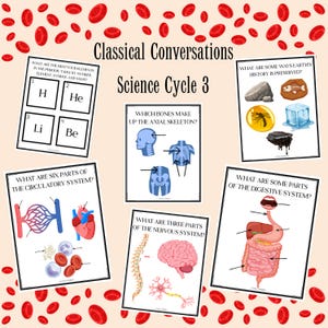 Puede incluir: Pósteres educativos para el ciclo 3 de ciencias, con diagramas de la tabla periódica, el sistema esquelético, el sistema circulatorio, el sistema nervioso, el sistema digestivo y las formas en que se conserva la historia de la Tierra. Fondo beige claro con ilustraciones de glóbulos rojos.