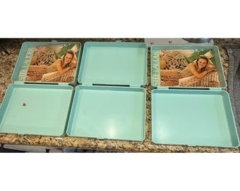 Estee Lauder Vintage Travel Train Cases Set of 3 Makeup Cosmetic Organizer