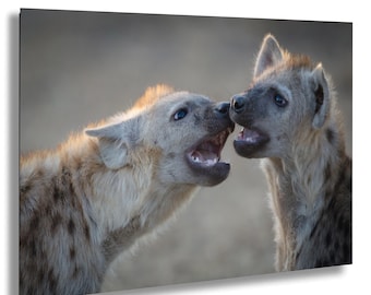 Impresión fotográfica de cachorros de hiena, arte de la vida silvestre africana, fotografía de animales de safari