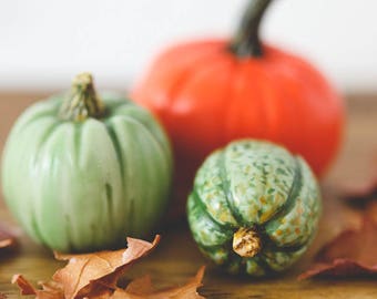 SALE! Trio of Playscale Miniature Heirloom Pumpkins