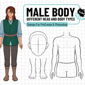 Male Body Anatomy Stamps