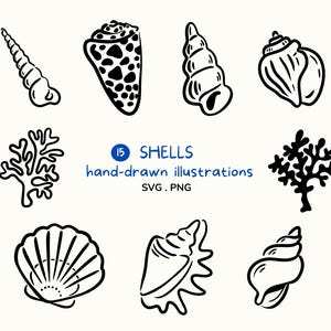 Peut inclure: Illustrations dessinées à la main de coquillages, d'étoiles de mer et de coraux en noir et blanc. Le texte "15 SHELLS hand-drawn illustrations SVG . PNG" est également inclus.