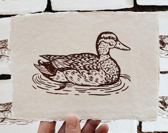 May include: A brown and white duck illustration on textured, off-white paper. The duck is depicted swimming in water, with detailed linework. The artwork is held in front of a background of similar prints, suggesting a series or collection.