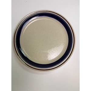 Puede incluir: Plato redondo de cerámica con centro beige, banda azul oscuro y borde marrón. El plato tiene un diseño sencillo y clásico, adecuado para el uso diario. El plato es de tamaño estándar.