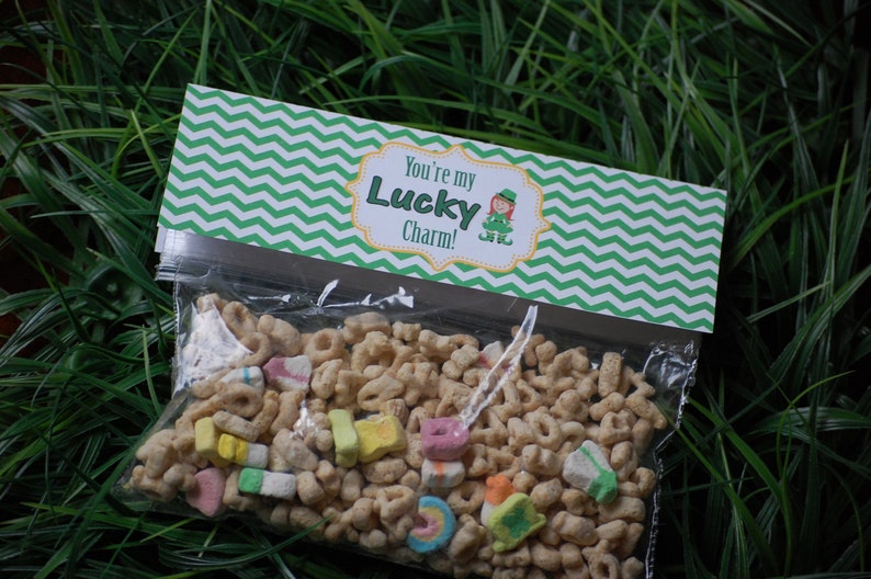 St. Patricks Day Treat Bag and Favor Topper image 1