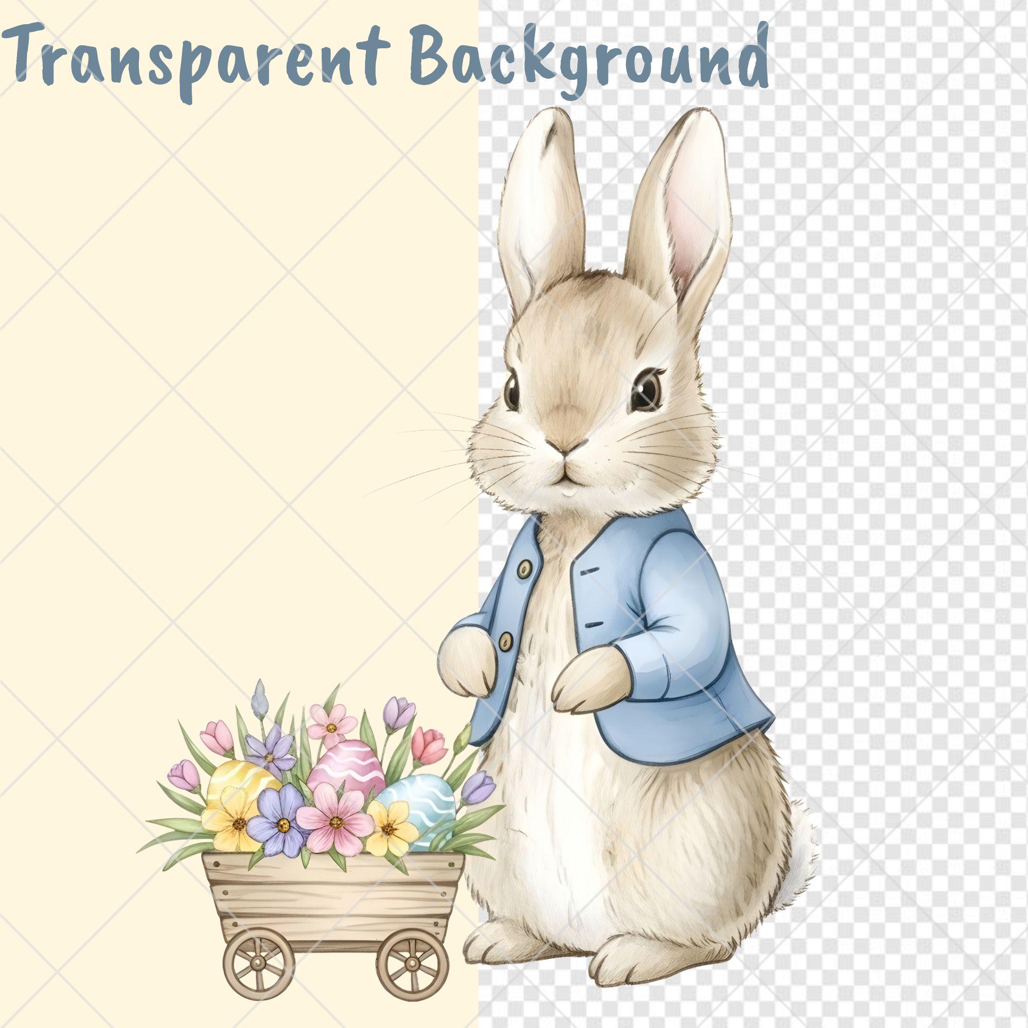 Peter Rabbit Watercolor Clipart | Spring Funny Bunny PNG (digital ...