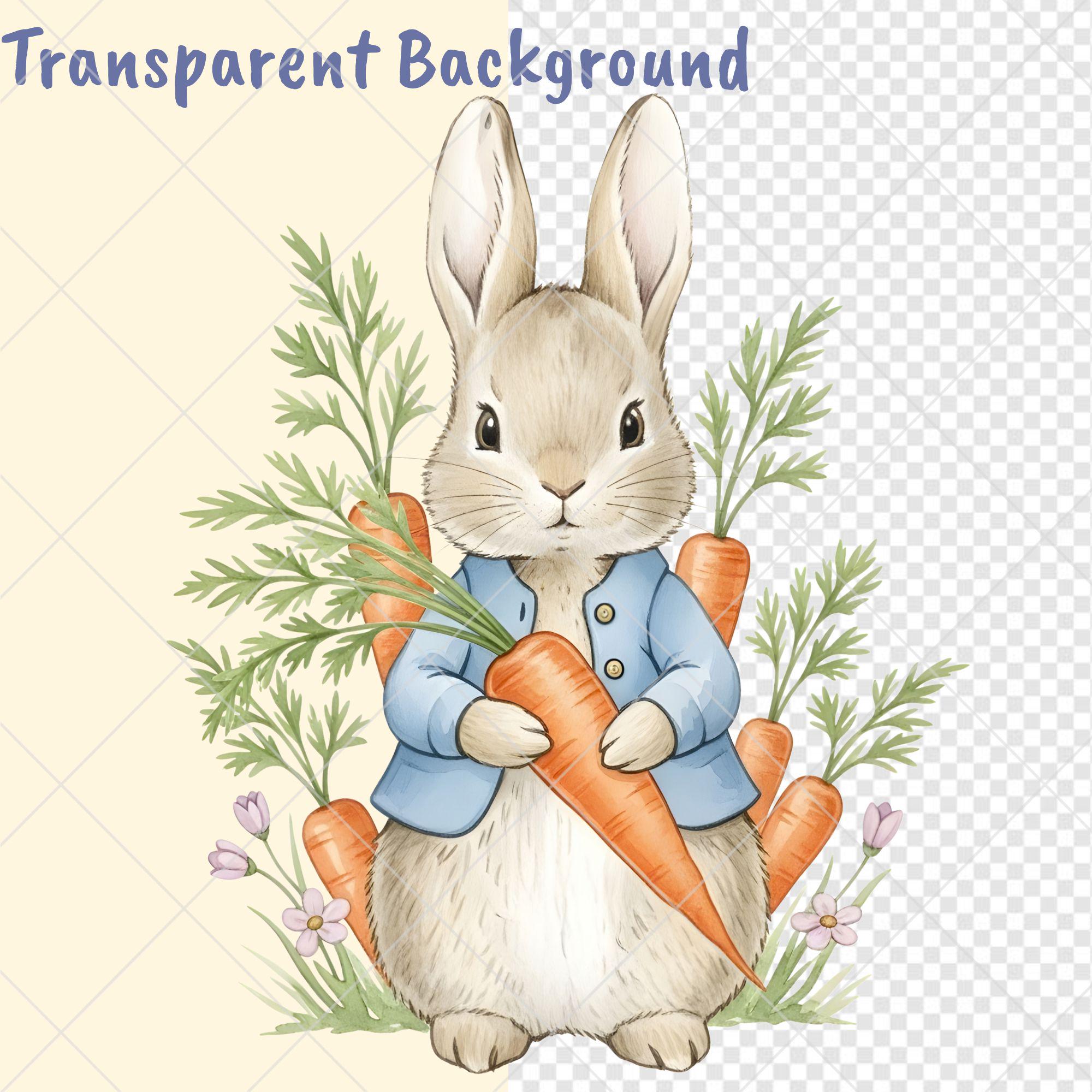 Peter Rabbit Drawings Spring Peter Rabbit Watercolor Clipart | Spring Funny Bunny PNG (digital ...
