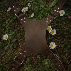 May include: A dark brown leather harness featuring a central X-shaped back panel connected to four adjustable straps. The harness is constructed with silver-toned metal rivets and circular rings at each of the four connection points.