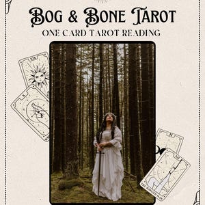 Daily Draw: One Card Tarot Pull