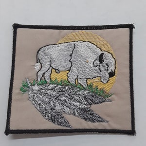 white buffalo patch