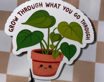 Grow through what you go through