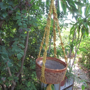 May include: A yellow macrame plant hanger with a brown woven basket. The hanger is hanging from a tree branch.