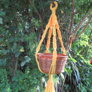 May include: A yellow macrame plant hanger with a brown woven pot hanging from a tree branch.
