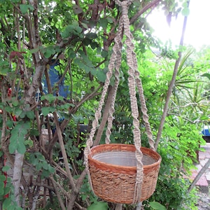 May include: A macrame plant hanger with a woven basket, hanging from a tree branch. The hanger is made of natural fiber rope and has a light brown color. The basket is made of natural materials and has a brown color.