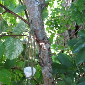 May include: A white ceramic planter hangs from a brown and green macrame plant hanger. The planter is suspended from a tree branch.