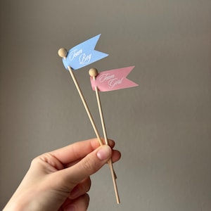 May include: Two small pennant flags attached to wooden sticks. One flag is light blue with the white text Team Boy, and the other flag is light pink with the white text Team Girl. Each flag features a small wooden bead at the top.