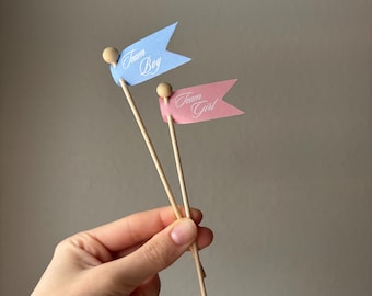 Baby Gender Reveal Drink Stirrers | Team Boy Team Girl Party Decor