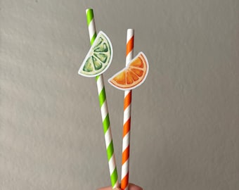 Orange Paper Drink Straws | Cutie Baby Shower | Main Squeeze Party Decor| Citrus Bridal Shower