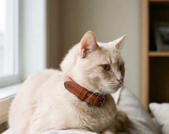 Collar de cuero para gato, collar ajustable para gato, collar personalizado para gato, collar de cuero para mascotas, collar de cuero para gatitos, collar de identificación para gato, collar minimalista para mascotas
