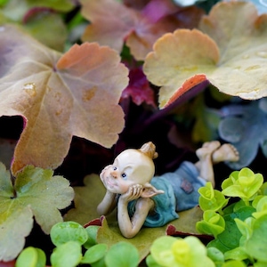 May include: A small figurine of a bald, light-skinned character with pointed ears, resting their chin on their hands. The figure wears a blue top and blue shorts, and is positioned among large, rounded, variegated green and brown leaves.