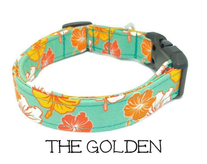 Dog Collar, Hawaiian Dog Collar, the Golden, Tropical Dog Collar