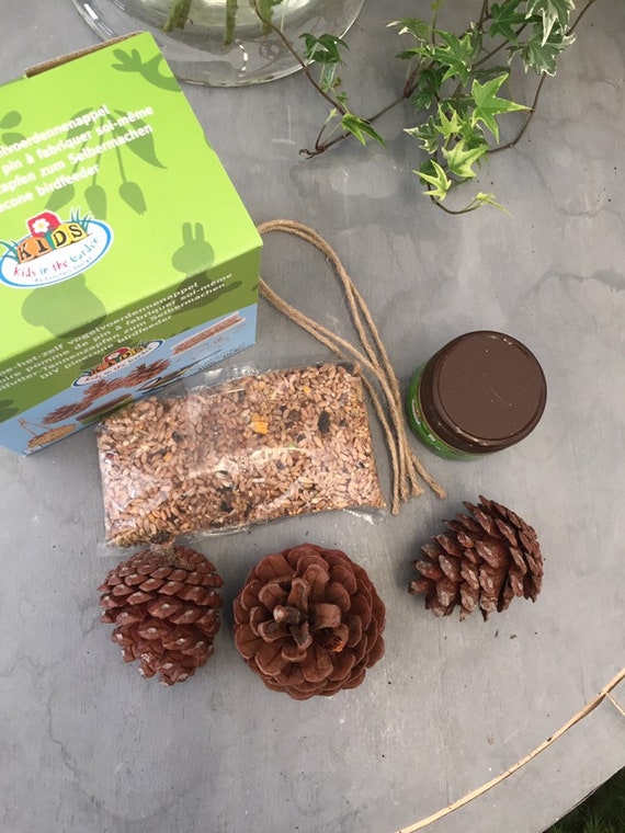 Diy Pine Cone Bird Feeder Kit Etsy