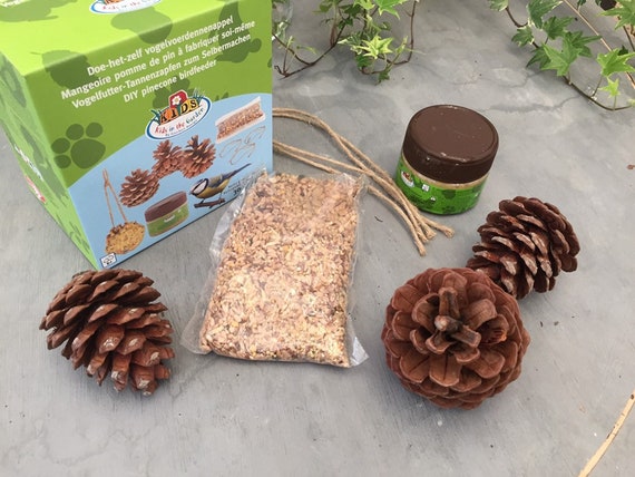 Diy Pine Cone Bird Feeder Kit Etsy