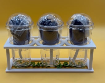 Corm Cup Kit - 3 Cups