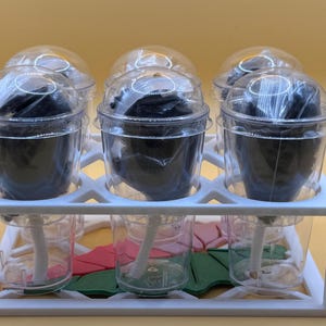 Corm Cup Kit - 6 Cups