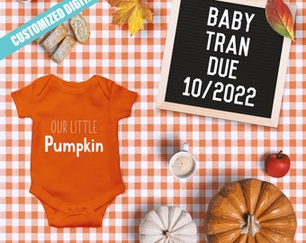 Fall Themed Digital Pregnancy Announcement | Social Media | Instagram | Text | Email