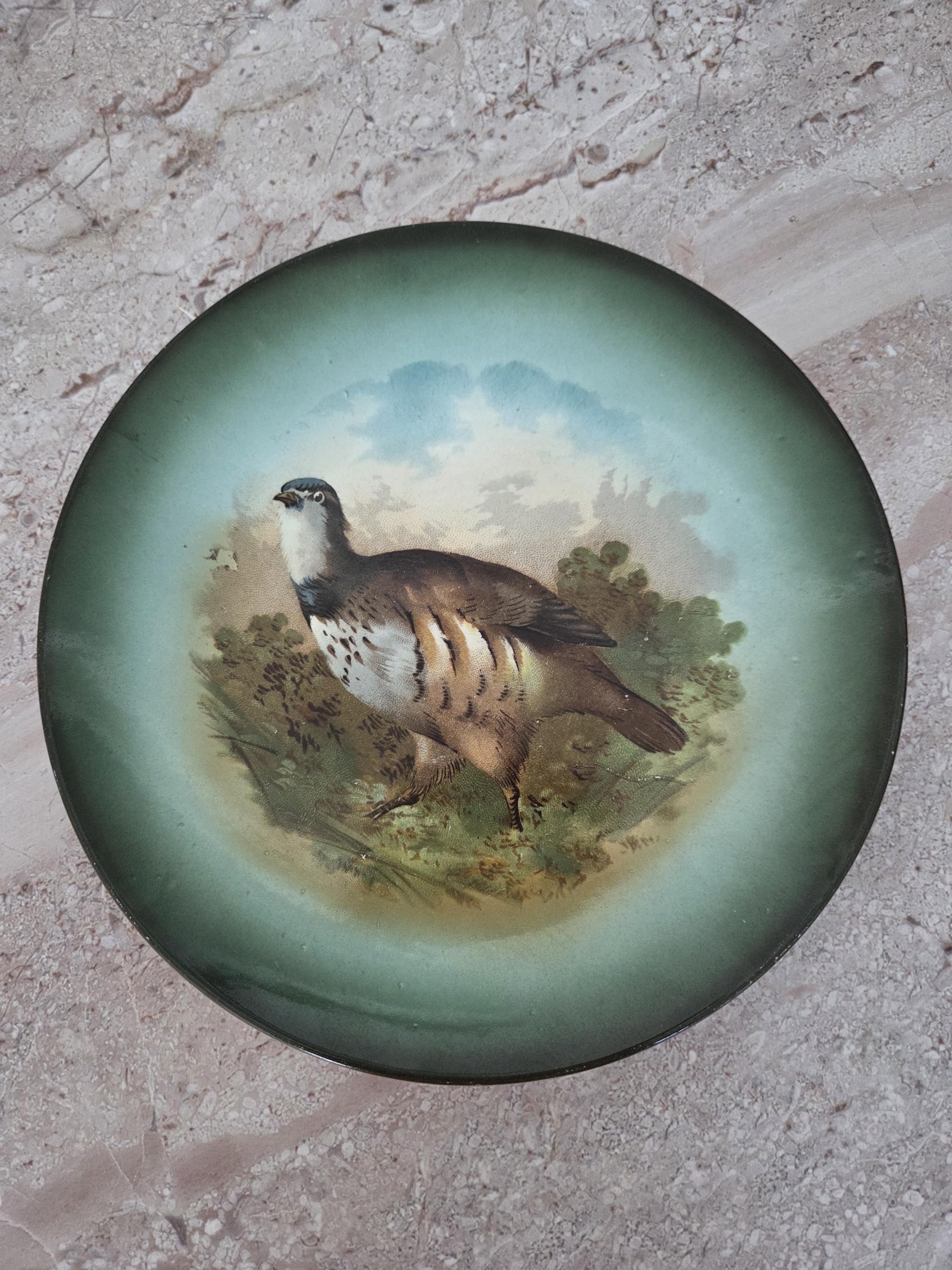 Antique Vintage. Game Bird Plates - Etsy