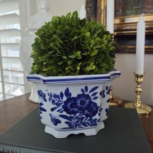 May include: A white ceramic planter with a hexagonal shape and blue floral patterns, containing a dense, rounded green boxwood topiary. The planter features a scalloped rim and base, with detailed blue botanical illustrations on its exterior.