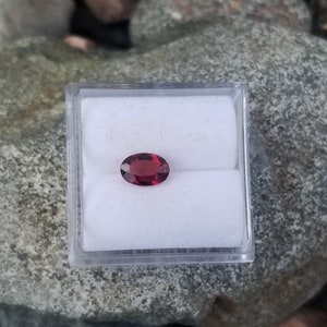 Puede incluir: Una piedra preciosa ovalada roja en una pequeña caja blanca. La caja está sobre un lecho de rocas grises y marrones.