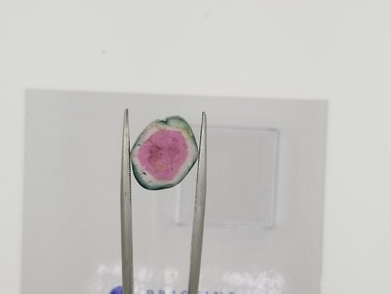 Unique Gift Gemstone Watermelon Tourmaline Slice 6.30cts October Gemstone Gift for Her