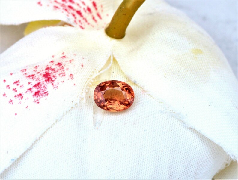 Apricot Color Sapphire Oval Shape Unique Gemstone for Etsy