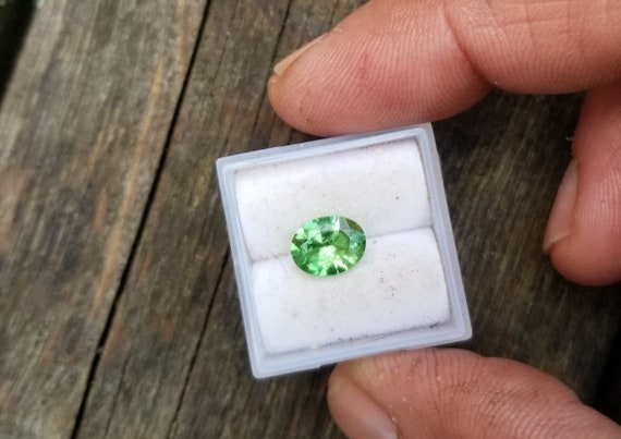 Oval Green Garnet January Birthstone, Natural Green Gemstone  for Her Birthday, Free Shipping to North America