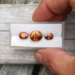 May include: Three oval-shaped gemstones in a white display box. The gemstones are orange and brown with a slight sparkle. The gemstones are arranged in a row from largest to smallest.
