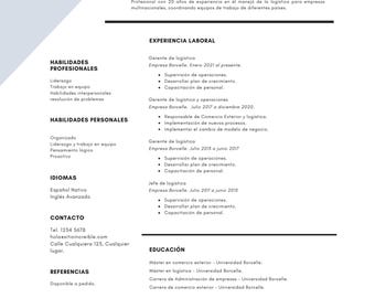 Plantilla de Currículum en Español | Professioneller Lebenslauf Bearbeitbar auf Leinwand