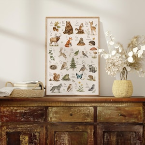 May include: A rectangular wall poster featuring an alphabet chart with watercolor illustrations of forest animals and plants. Each letter from A to Z is paired with a corresponding creature or nature element, including a bear, deer, and fox.