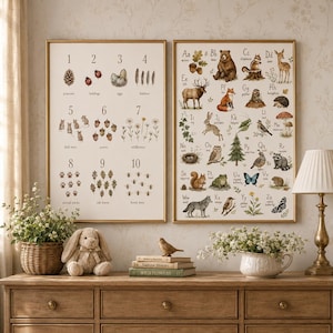 May include: Two framed wall posters featuring educational illustrations. The left poster displays numbers one through ten with corresponding nature motifs. The right poster presents an alphabet from A to Z, each letter paired with a forest animal or plant illustration.