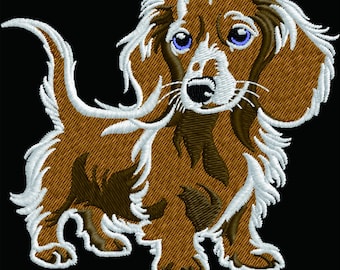 Diseño de bordado a máquina de perro esponjoso, archivo digital de cachorro de pelo largo, mascota Dachshund