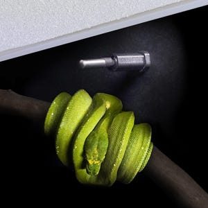 May include: A vibrant green snake coiled around a dark brown branch. The snake's scales are a bright, textured green with yellow accents. A silver bolt is mounted on a black surface, and a white surface is visible in the background.