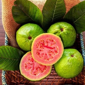 50 Stück Tropische Erdbeer Guava Samen | Pink Guava | Exotische Früchte